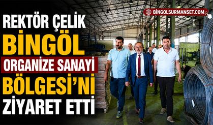 Rektör Çelik Bingöl Organize Sanayi Bölgesi’ni Ziyaret Etti
