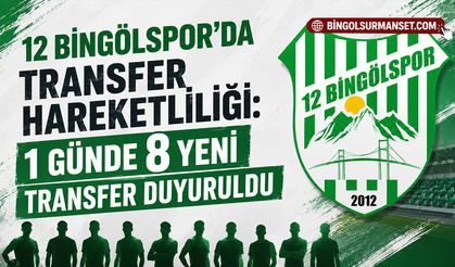 12 Bingölspor'da Transfer Hareketliliği: 1 Günde 8 Yeni Transfer Duyuruldu