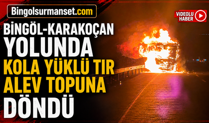 Bingöl-Karakoçan Yolunda Kola Yüklü Tır Alev Topuna Döndü