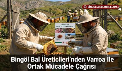 Bingöl Bal Üreticileri’nden Varroa İle Ortak Mücadele Çağrısı