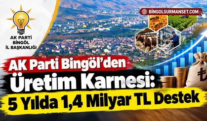 AK Parti Bingöl’den Üretim Karnesi: 5 Yılda 1,4 Milyar TL Destek