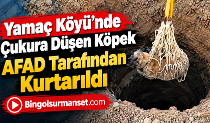 Yamaç Köyü’nde Çukura Düşen Köpek AFAD Tarafından Kurtarıldı