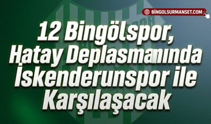 12 Bingölspor, Hatay Deplasmanında İskenderunspor ile Karşılaşacak