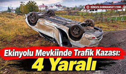 Ekinyolu Mevkiinde Trafik Kazası: 4 Yaralı