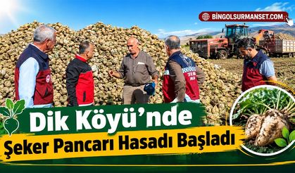 Dik Köyü’nde Şeker Pancarı Hasadı Başladı