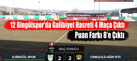 12 Bingölspor'da Galibiyet Hasreti 4 Maça Çıktı