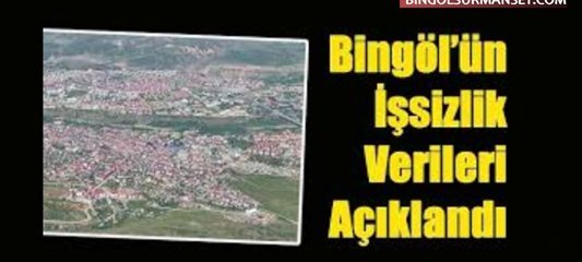 Bingöl'de İşsizlik Oranı 2025'te Yüzde 9,6 Oldu