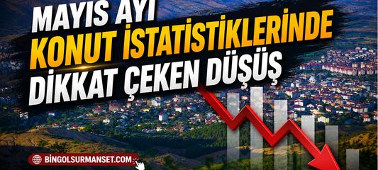 Mayıs Ayı Konut İstatistiklerinde Dikkat Çeken Düşüş