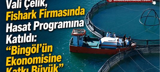 Vali Çelik, Fishark Firmasında Hasat Programına Katıldı