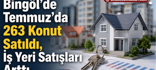 Bingöl’de Temmuz’da 263 Konut Satıldı, İş Yeri Satışları Arttı