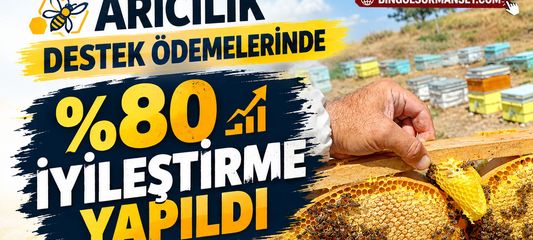 Arıcılık Destek Ödemelerinde %80 İyileştirme Yapıldı