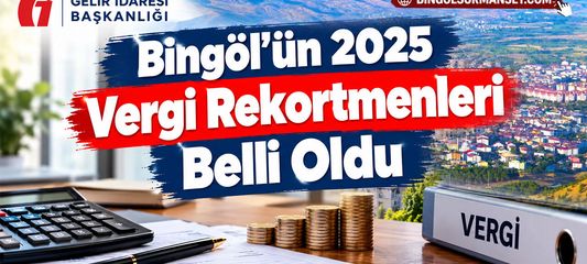 Bingöl’ün 2025 Vergi Rekortmenleri Belli Oldu