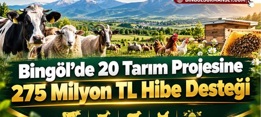 Bingöl’de 20 Tarım Projesine 275 Milyon TL Hibe Desteği