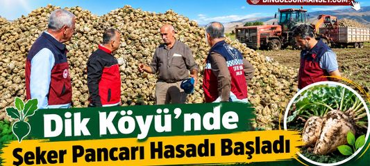 Dik Köyü’nde Şeker Pancarı Hasadı Başladı