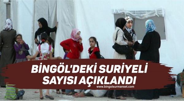 Bingöl’deki Suriyeli Sayısı Açıklandı