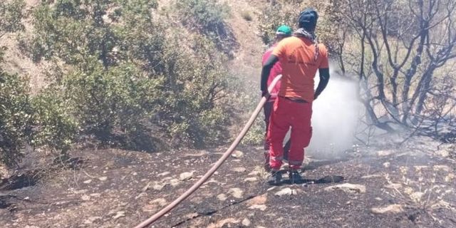 Bingöl'de Orman Yangını Büyümeden Söndürüldü