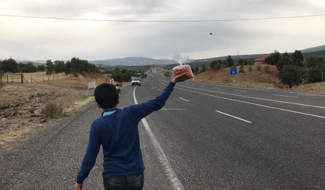 Okul Harçlıklarını Çıkarmak İçin Yol Kenarında ‘Alıç’ Satıyorlar