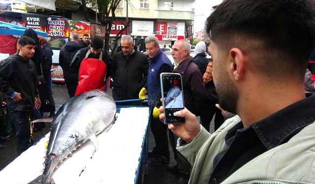 2 Metreden Büyük Orkinosu Görenler Telefona Sarıldı