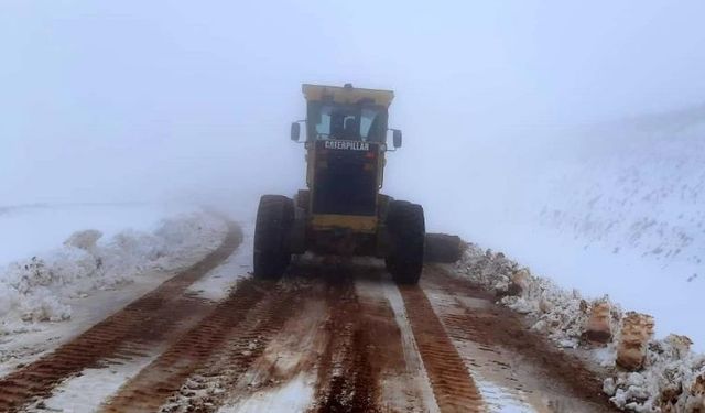 Bingöl’de 2 Bin 500 Rakımlı Tepe Beyaza Büründü