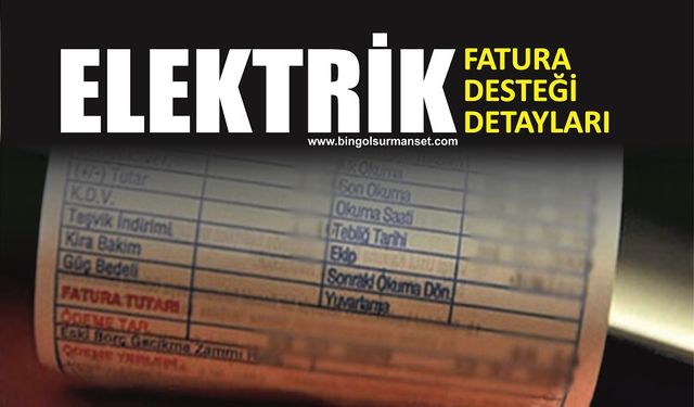 Elektrik Fatura Desteği Detayları