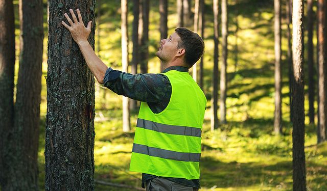 Tarım ve Orman Bakanlığı Bingöl’de Kaç Personel Alacak? Detaylar Bu Haberde