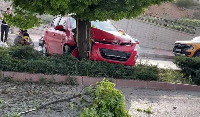 Elazığ’da otomobil ağaca çarptı: 3 yaralı