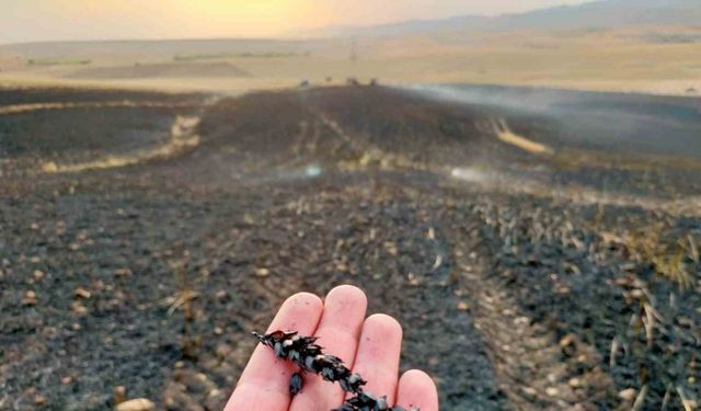 Diyarbakır’da ekin tarlasında yangın