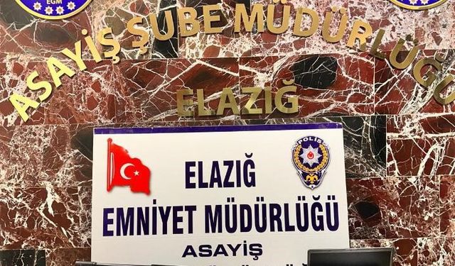 Elazığ merkezli 6 ilde örgütlü olarak nitelikli dolandırıcılık operasyonu: 29 gözaltı