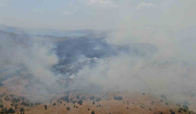 Elazığ’da orman yangını: Ekiplerin havadan ve karadan müdahalesi sürüyor