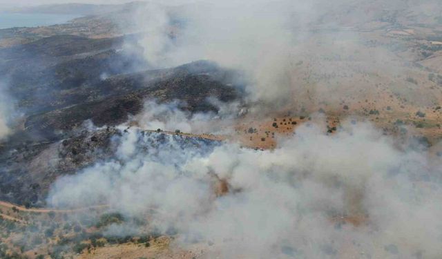 Elazığ’da orman yangınına havadan müdahale sürüyor