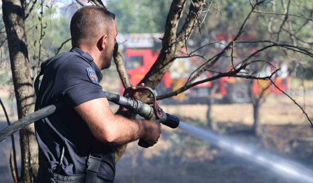 Elazığ’da örtü ve bahçe yangını