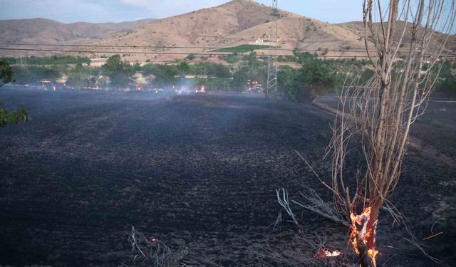 Elazığ’da yangın: 20 dönüm ekili alan kül oldu