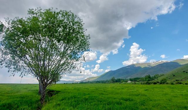 Kullanılabilir Su Potansiyelinin En Yüksek İl Bingöl