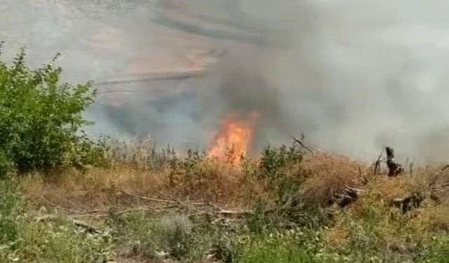 Kuşlar elektrik tellerine çarptı, kıvılcımlar yangına neden oldu