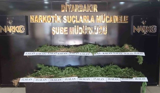 Diyarbakır’da dron destekli uyuşturucu operasyonu: 800 kilo esrar türevi ve 3 bin 276 kök kenevir ele geçirildi