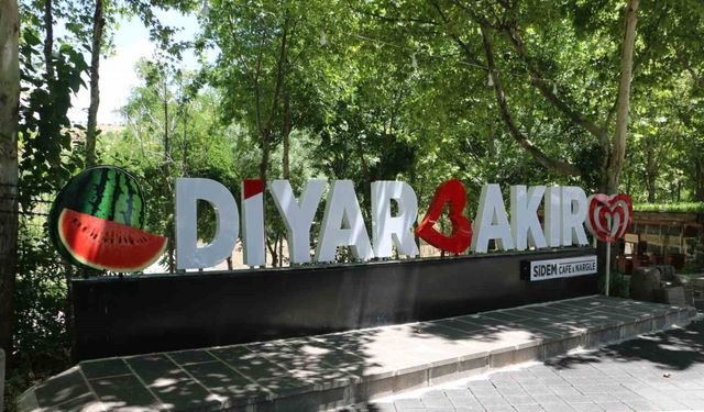 Diyarbakır’da termometreler 45 dereceyi gösterdi: Tarihi mekanlar boş kaldı