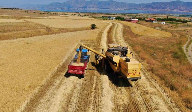 Elazığ’da 900 bin dekar alanda hasat yapılması bekleniyor