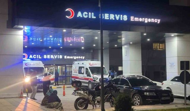 Elazığ’da otomobil şarampole uçtu: 2 ölü, 1 yaralı