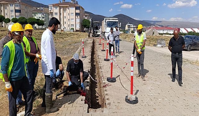 Karlıova doğalgaz'a kavuşuyor