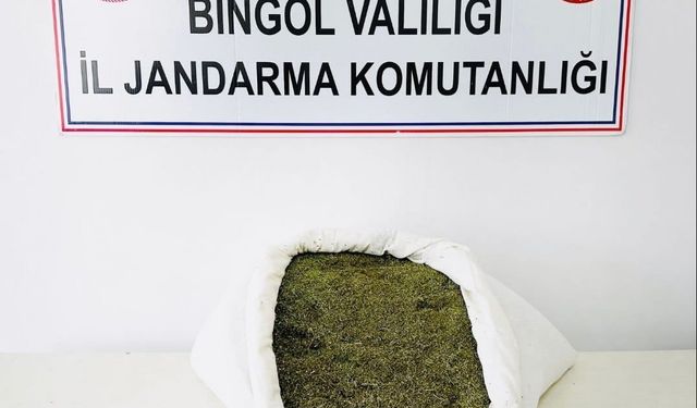 Bingöl’de 17 kilo esrar ele geçirildi