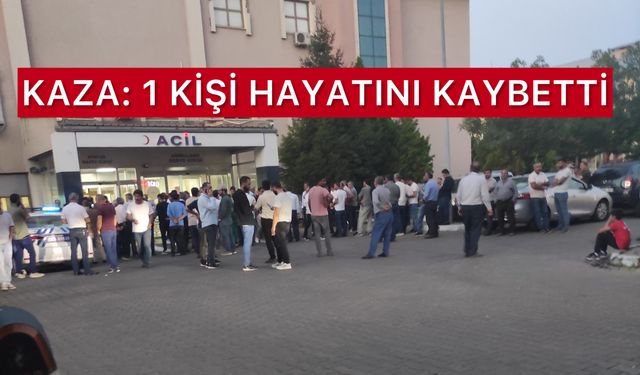 Bingöl’de Kaza: 1 Kişi Hayatını Kaybetti