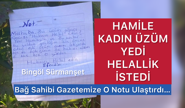 Hamile Kadından Bağ Sahibine Duygusal Not: "Hakkınızı Helal Edin"