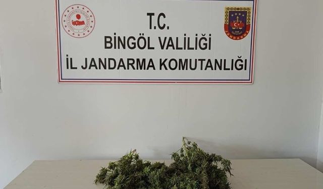 Bingöl’de uyuşturucuyla mücadele sürüyor