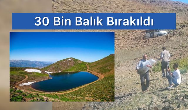 Gerendal Gölü'ne Hayat Verildi: 30 Bin Yavru Balık Bırakıldı