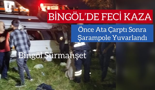 Bingöl’de Feci Kaza: Ata Çarptı Şarampole Yuvarlandı