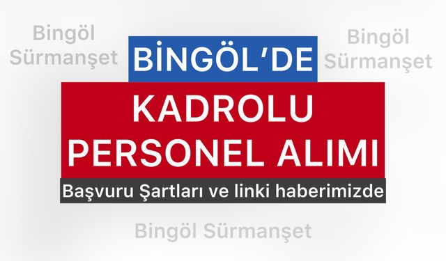 Bingöl'de 8 Kadrolu Personel Alınacak Başvuru Şartları ve Tarihi