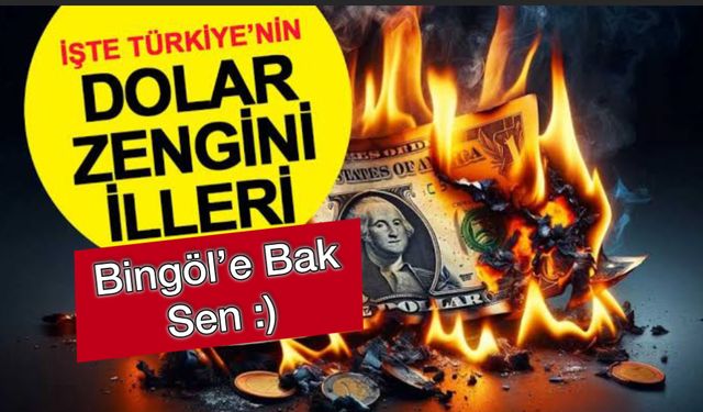 Türkiye’nin Dolar Zenginleri: Aksaray, Bingöl, Karaman, Bayburt!