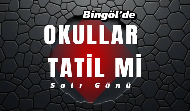 Salı Günü Bingöl ve İlçelerinde Okullar Tatil mi? İşte Detaylar