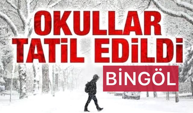 Bingöl Valiliği Açıkladı: Bingöl’de Okullar Tatil Edildi