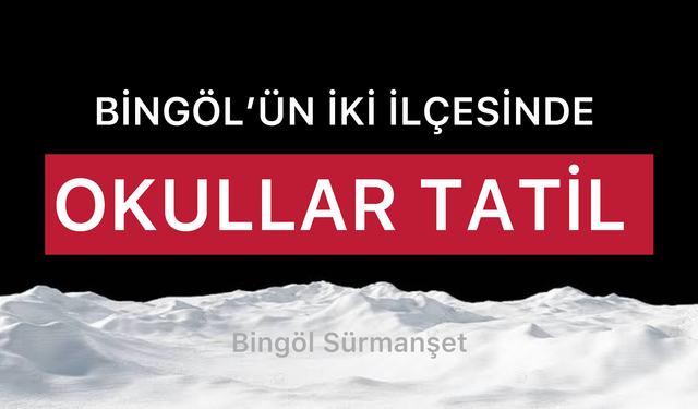 Son Dakika: Bingöl’de İki İlçede Okullar Tatil Edildi! İşte Detaylar